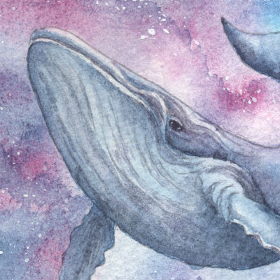 Baleine céleste