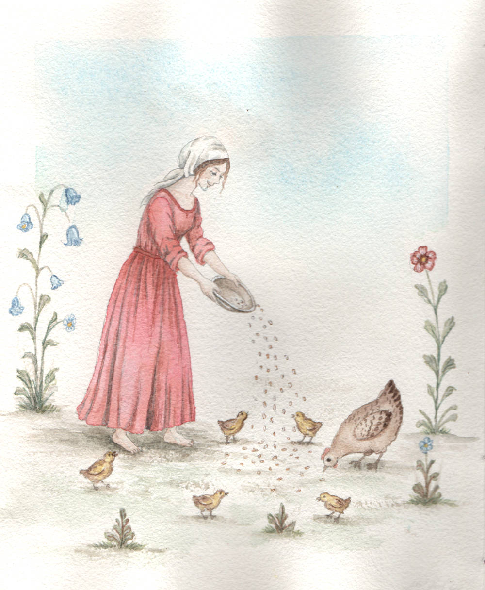 Cocotte, aquarelle de Garance