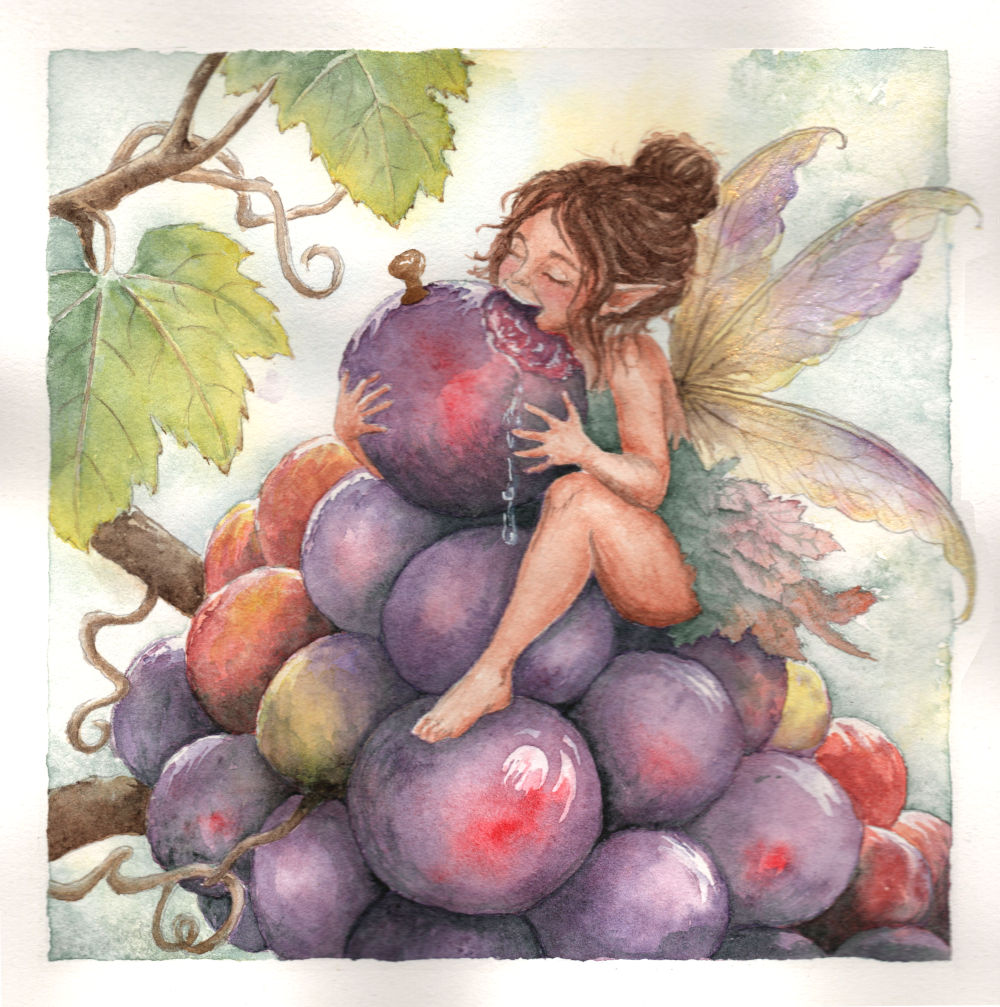 Grappeline, aquarelle de Garance