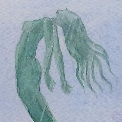 sirene